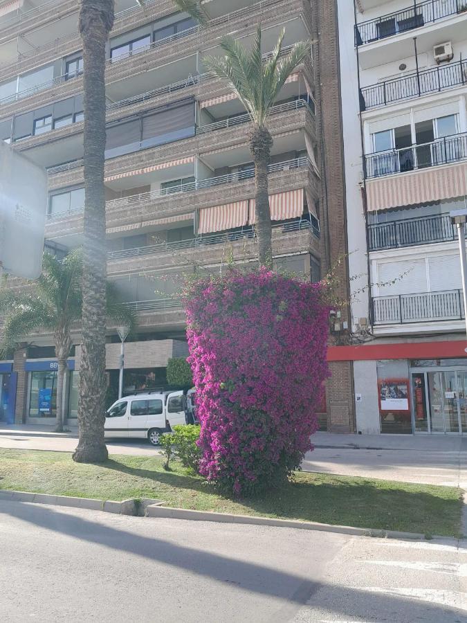 Stylowy Apartament Harmonia Playa Del Cura, Hiszpania Apartment Torrevieja Exterior photo